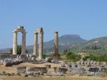 Τα Νέμεα ήταν από τις γνωστότερες γιορτές στον ελλαδικό χώρο, συνδυασμένη με τη λατρεία του ΔΙονύσου.
