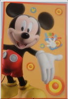 ΧΑΛΙ DISNEY CLUB HOUSE 16
