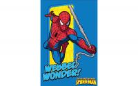 Χαλί Marvel Spider-Man 953
