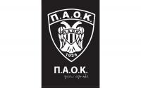 Χαλί Paok 585