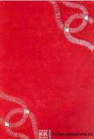 GUY LAROCHE SPIRIT terra 160x230
