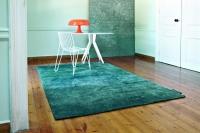ARIA PETROL 160X230