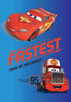 ΧΑΛΙ DISNEY CARS 019 133X190
