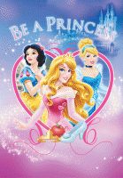 ΧΑΛΙ DISNEY PRINCESS 120 133X190