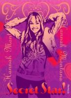HANNAH MONTANA 221
