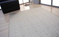 METALLIC 1.60X2.30 - 81ME OYSTER