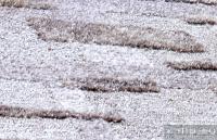 ASLANIS BLOSSOM SAND 160X230