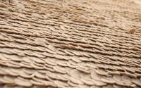 Coins Beige